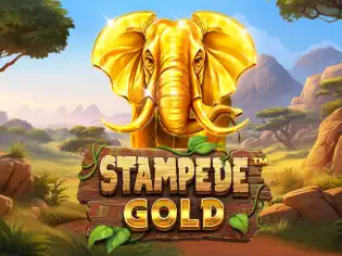 stampede gold